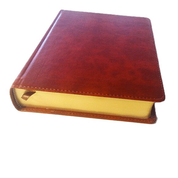 Illustrator's Notetaking (Coloring) Bible (HCSB) British Tan Leather Touch ~ NEW - Picture 6 of 13